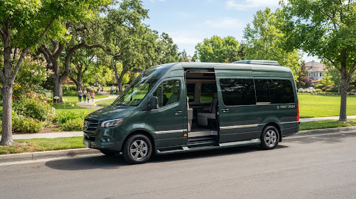 A dark green passenger van near a suburban park.
